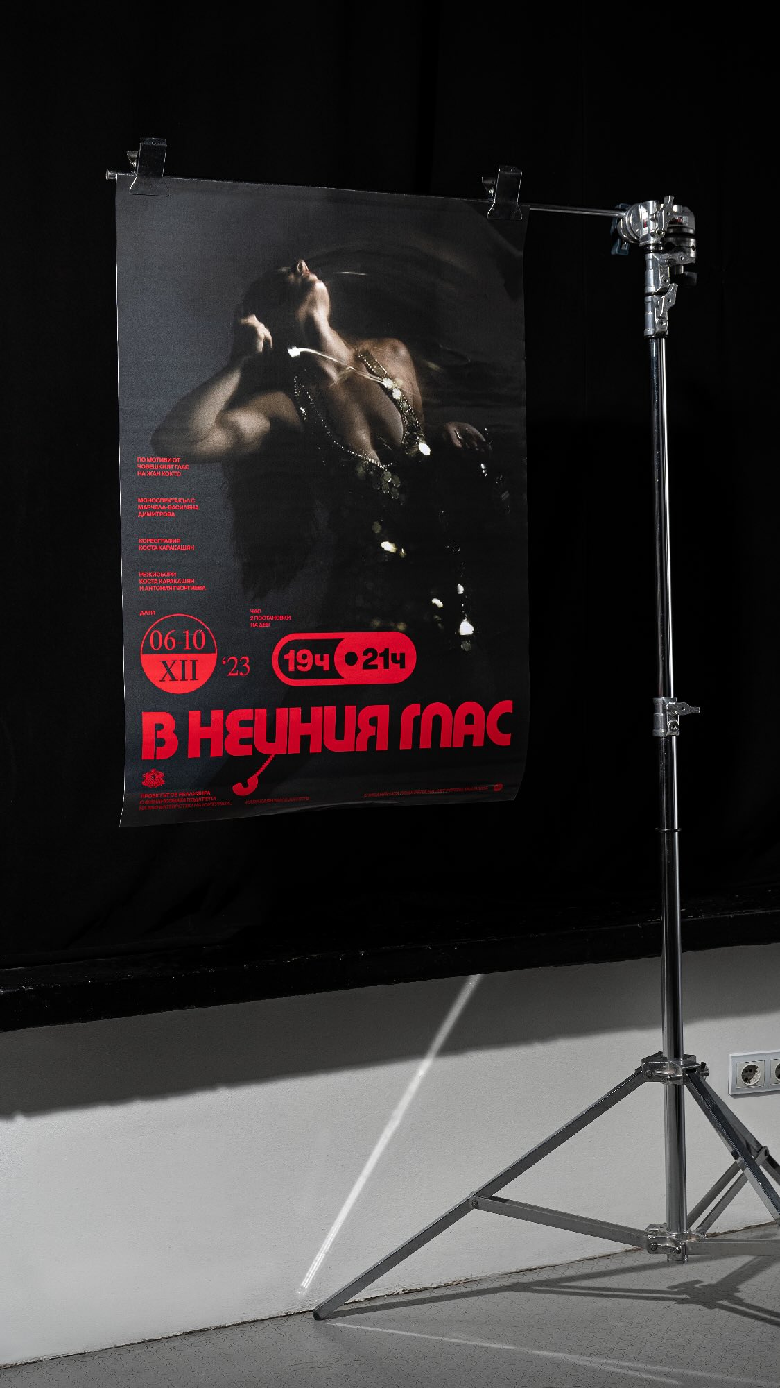 Poster 'In her own voice', Poster Design