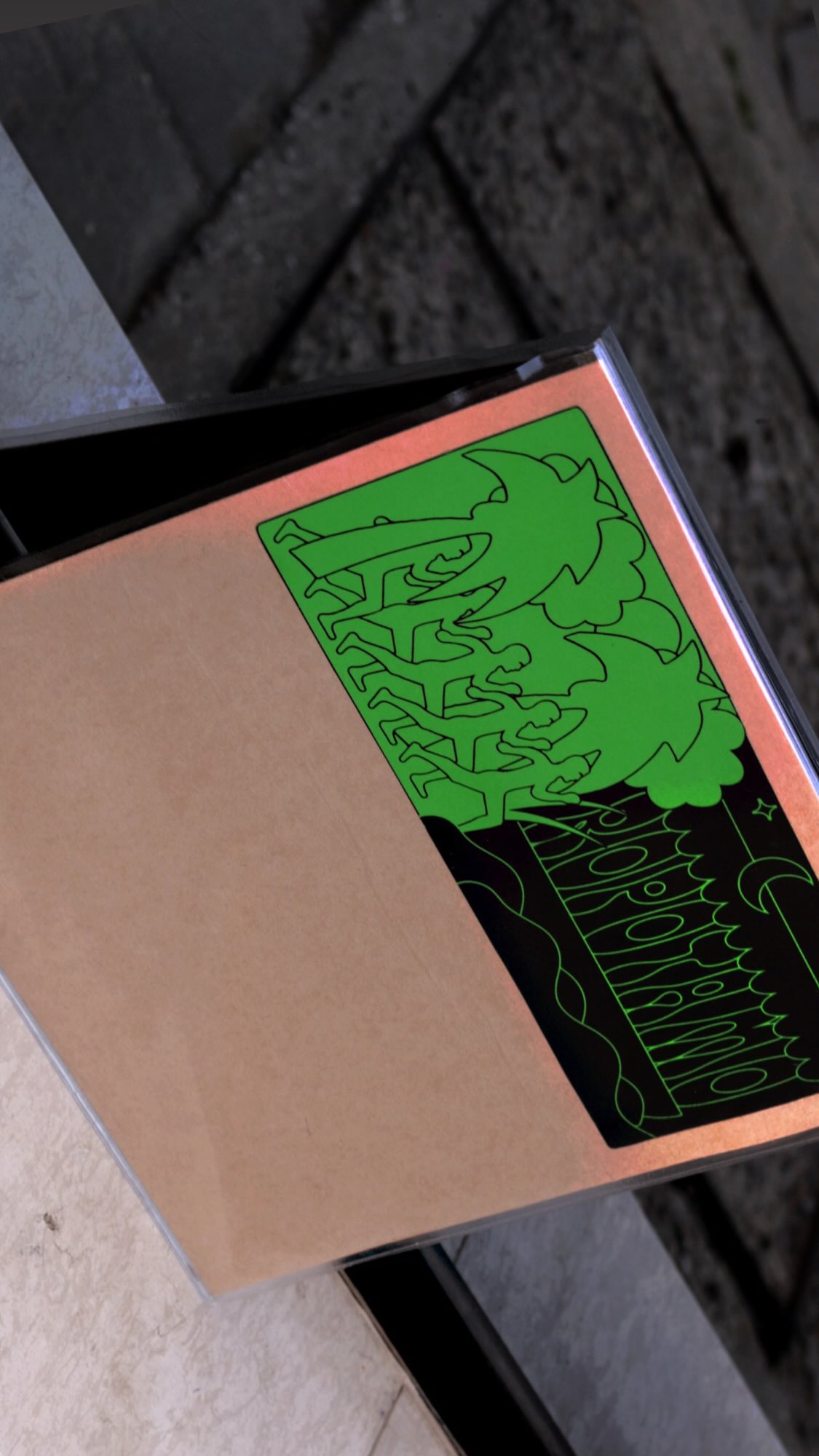 Ropotamo Vynil Cover Design