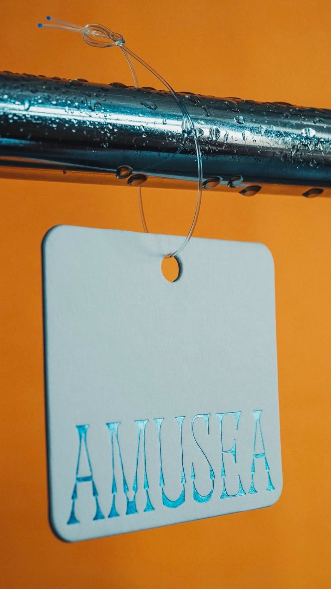 Amusea Swimwear Series, Branding, Etiquette